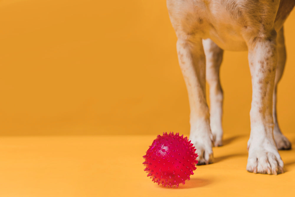 juguetes para perros