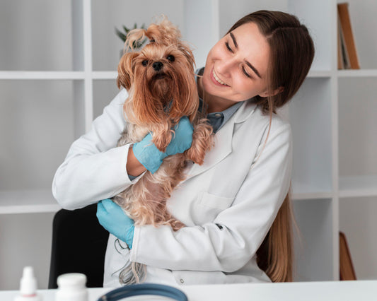 3 labores increíbles de un médico veterinario