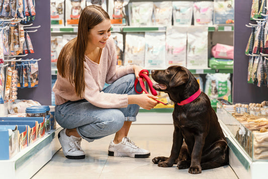 tienda de perros