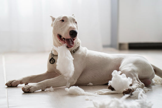 juguetes para perros destructores