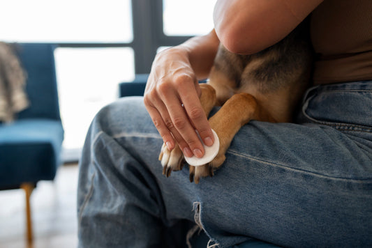 cortar uñas perro