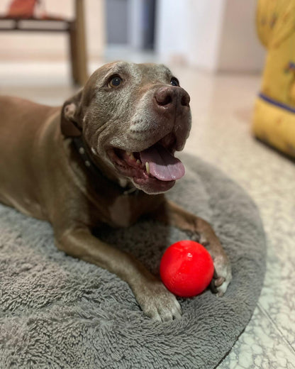 BALL-PELOTA